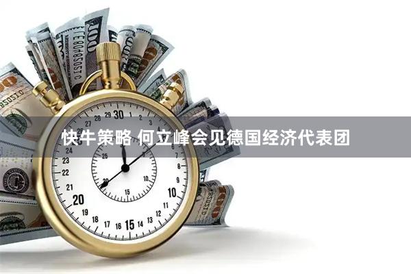 快牛策略 何立峰会见德国经济代表团