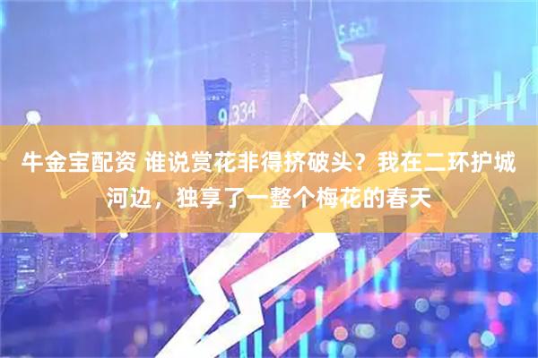 牛金宝配资 谁说赏花非得挤破头？我在二环护城河边，独享了一整个梅花的春天