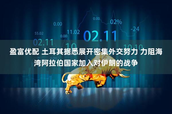 盈富优配 土耳其据悉展开密集外交努力 力阻海湾阿拉伯国家加入对伊朗的战争