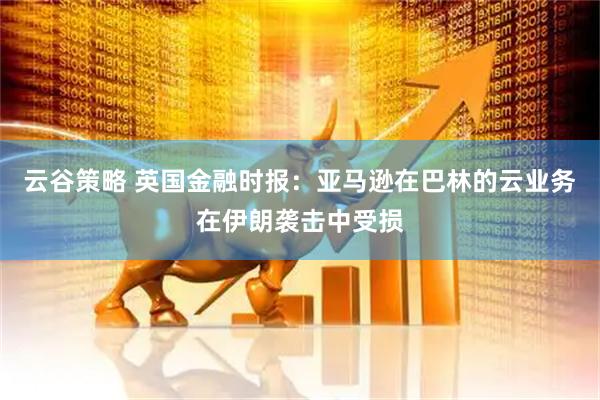 云谷策略 英国金融时报：亚马逊在巴林的云业务在伊朗袭击中受损
