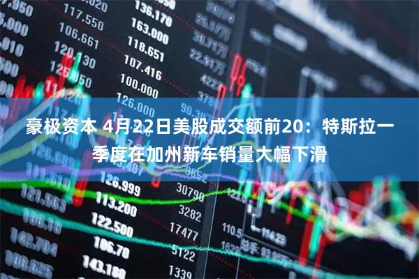 豪极资本 4月22日美股成交额前20：特斯拉一季度在加州新车销量大幅下滑