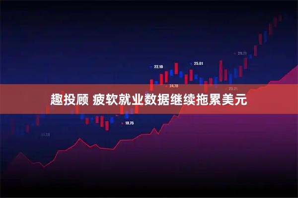趣投顾 疲软就业数据继续拖累美元