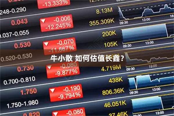 牛小散 如何估值长鑫？